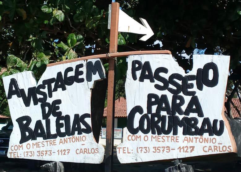 Avistagem de Baleias: de olho no mar de Cumuruxatiba - Foto: Arquivo Pessoal